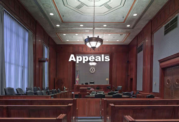 courtroom appeals lawyer california